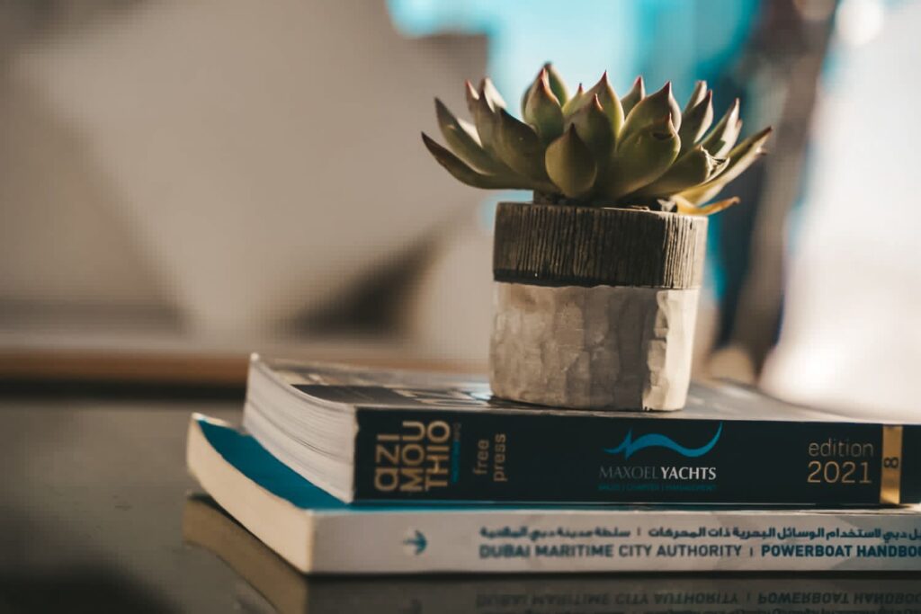 again 80ft_15-B10yFSN3